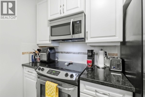 107 11935 Burnett Street, Maple Ridge, BC V2X9A9 Photo 5