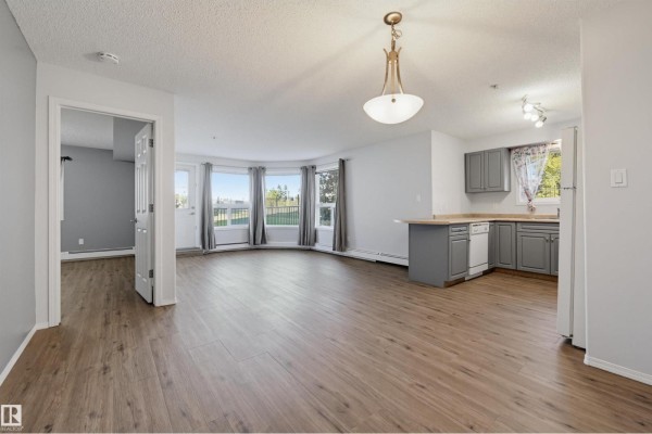 Open concept living area and kitchen with grey cabinets and wood-look flooring. - #107 13635 34 St Nw, Edmonton