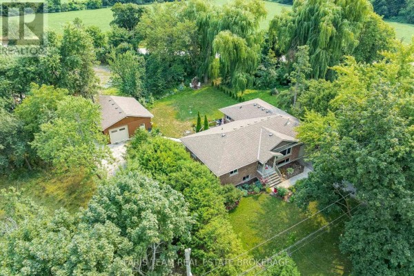 Aerial view of a large bungalow and detached garage surrounded by lush green trees. - 107 George Street, Clearview