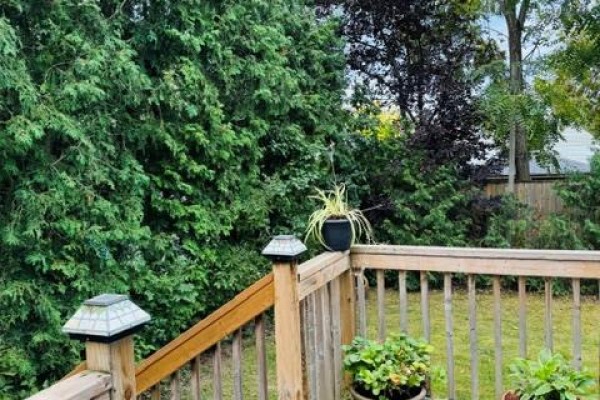 Recreation room - 107 Norwood Road, Hamilton, ON L8S3R3 Photo 4
