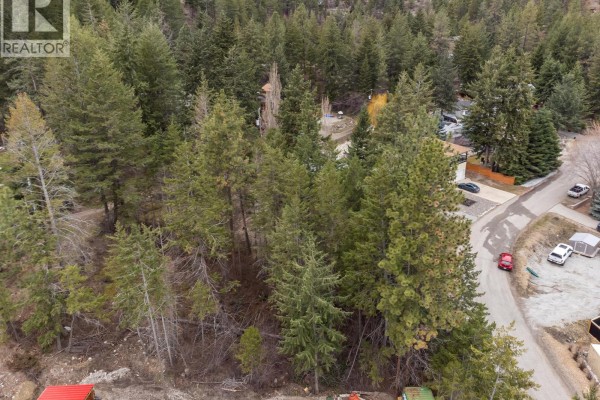 Aerial view of wooded lot with nearby homes and a winding road - 10700 Pinecrest Road, Vernon