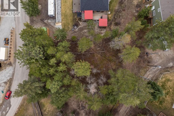 Top-down view of wooded lot with surrounding homes and gravel paths - 10700 Pinecrest Road, Vernon