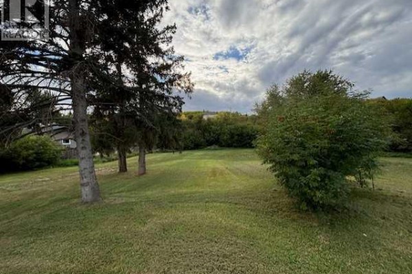 10702 90 Street, Peace River, AB T8S1N9 Photo 5