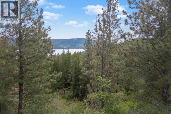 10745 Westshore Road, Vernon, BC V1H2C2 Photo 4
