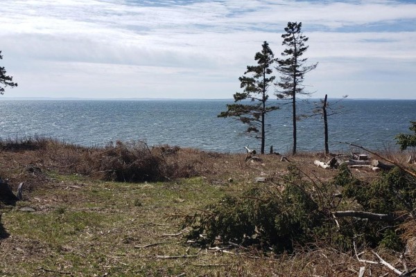 10755 Shore (rte 4) Road, High Bank, PE C0A1W0 Photo 5