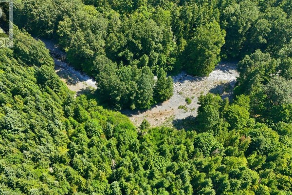 10780 North Shore Rd, Youbou, BC V0R3E1 Photo 5