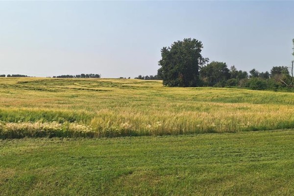 108 108w And 16 Highway, Minnedosa, MB R0J1E0 Photo 3