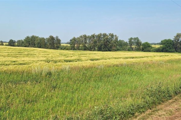 108 108w And 16 Highway, Minnedosa, MB R0J1E0 Photo 4