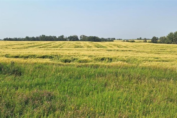 108 108w And 16 Highway, Minnedosa, MB R0J1E0 Photo 5