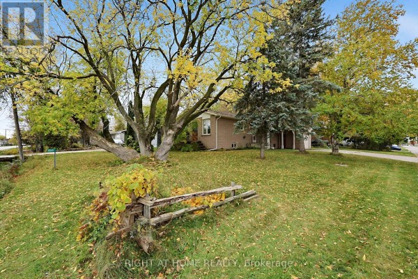 1080 County Road 42, Clearview, ON L0M1S0 Photo 2
