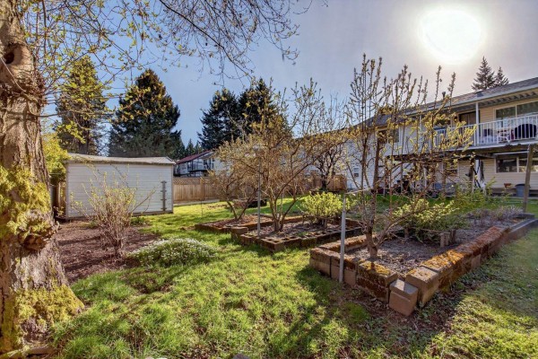 10842 144a Street, Surrey, BC V3R3R1 Photo 2