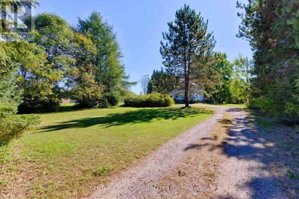 1085 Forest Lea Road, Laurentian Valley, ON K8A6W6 Photo 2