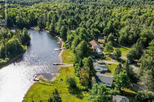 View of the property's white building and surrounding trees from the gravel driveway. - 1088 Colony Road, Lake Of Bays