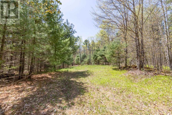 1088 Kashwakamak Lake Road, Frontenac, ON, photo 2