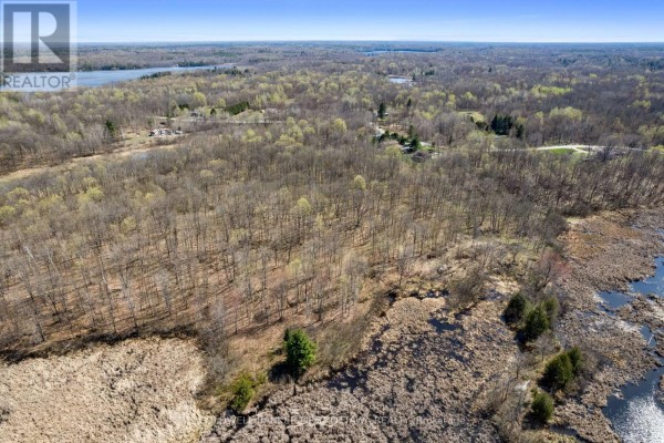 Aerial view of wooded land showing a small pond, marsh, and surrounding trees. - 1089 Wagner Road, Frontenac