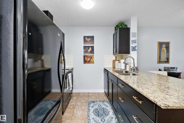 Den - #109 12660 142 Av Nw, Edmonton, AB T5X0J5 Photo 4