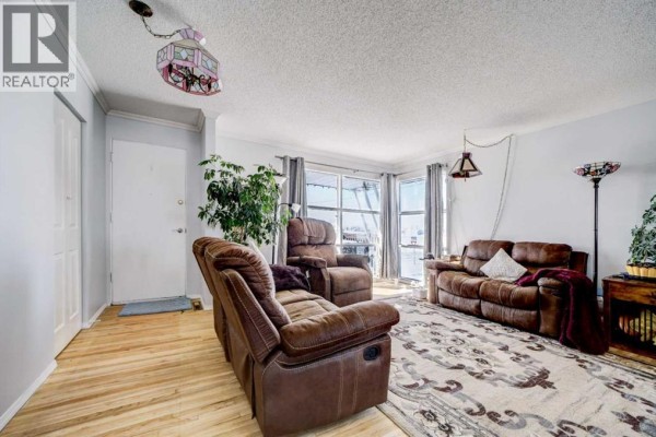Living room featuring brown sofas, large windows, and hardwood flooring - 109 Argyle Street, Granum