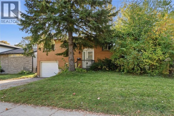Recreation room - 109 Indian Road, Kitchener, ON N2B2S6 Photo 3