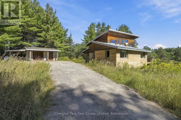 Gravel driveway leading to the house and a detached open-air structure, surrounded by greenery. - 109 Mount Pleasant Road, Cramahe