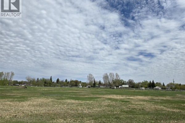 109 Saskatchewan Street, Mortlach, SK S0H3E0 Photo 5