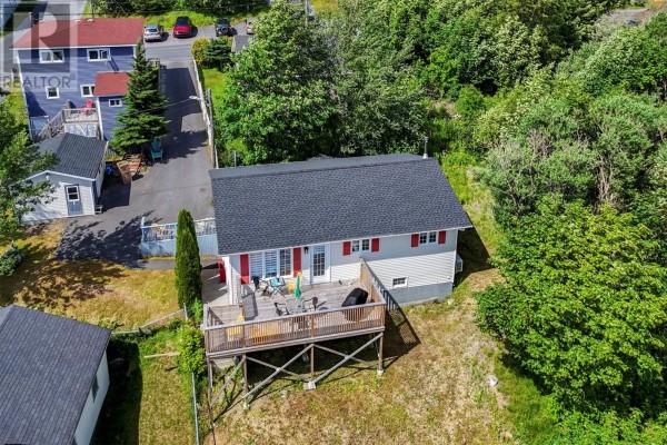 Not known - 109 Water Street Unit#a, Carbonear, NL A1Y1A4 Photo 2