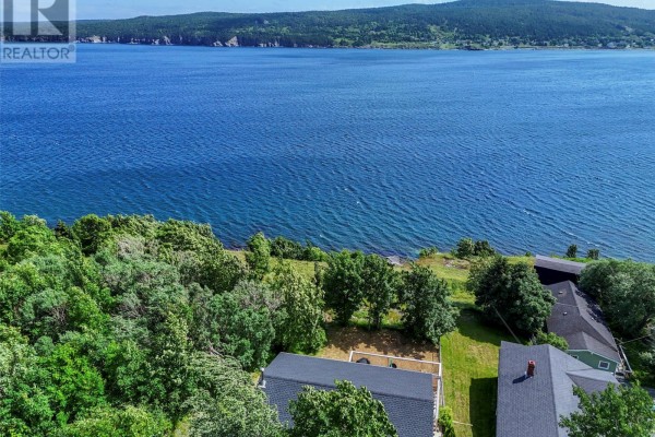 Not known - 109 Water Street Unit#a, Carbonear, NL A1Y1A4 Photo 5