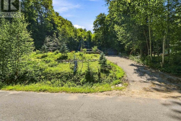 1093 Grace River Road, Highlands East, ON K0L3C0 Photo 4