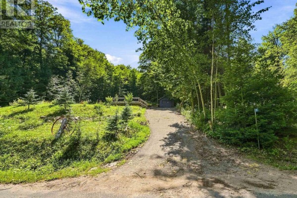 1093 Grace River Road, Highlands East, ON K0L3C0 Photo 5