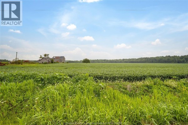 1094 Hale School Road, Dawn Euphemia, ON N0P1K0 Photo 4