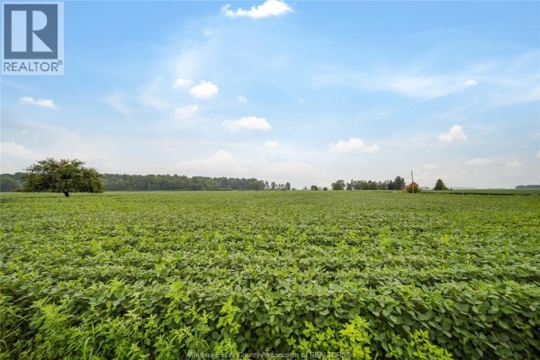 1094 Hale School Road, Dawn Euphemia, ON N0P1K0 Photo 5