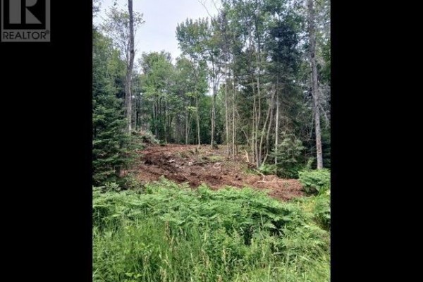 10940 Braniff Rd, Bruce Mines, ON P0S1C0 Photo 4