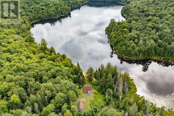 1099 Wolfkin Lake Road, Lake Of Bays, ON P0B1A0 Photo 2