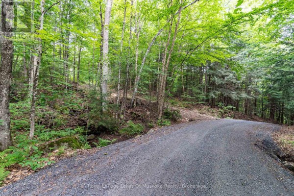 1099 Wolfkin Lake Road, Lake Of Bays, ON P0B1A0 Photo 4