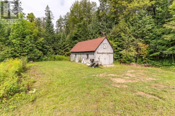 1099 Wolfkin Lake Road, Lake Of Bays, ON P0B1A0 Photo 5