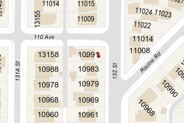 10991 132 Street, Surrey, BC V3T3W8 Photo 2