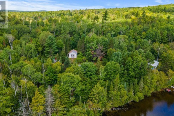 10a Mcmaster Lake Lane, Madawaska Valley, ON K0J1B0 Photo 5