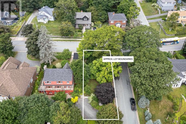 10b-2 Crichton Avenue, Dartmouth, NS B3A3R5 Photo 3