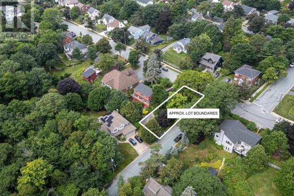 10b-2 Crichton Avenue, Dartmouth, NS B3A3R5 Photo 4