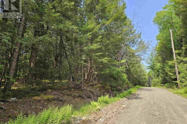 10b Cottage Lane, Pleasantfield, NS B0T1X0 Photo 2