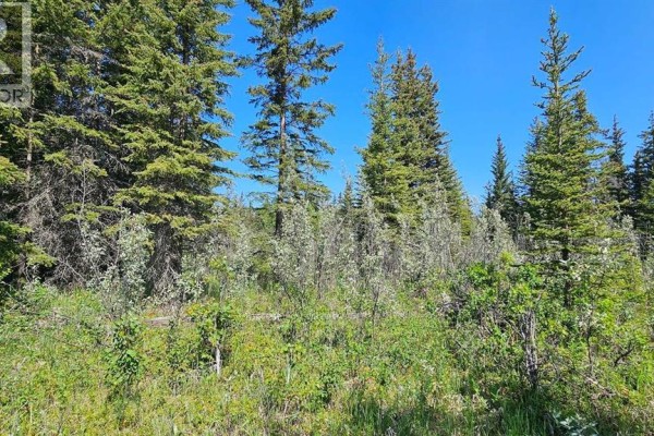 11, 34364 Range Road 42, Rural Mountain View County, AB, photo 2