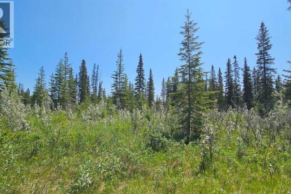 11, 34364 Range Road 42, Rural Mountain View County, AB, photo 3
