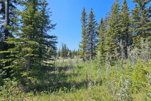 11, 34364 Range Road 42, Rural Mountain View County, AB T0M1X0 Photo 4