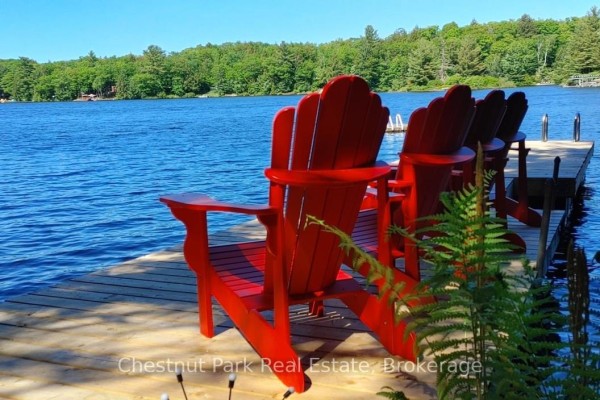 Kitchen - 11 - 1158 Cranberry Road, Muskoka Lakes, ON P0C1A0 Photo 2