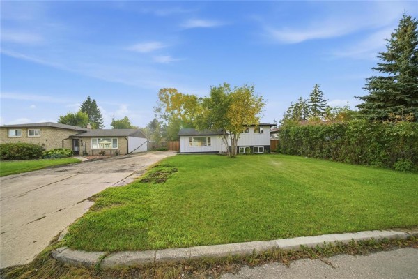 Living room with hardwood floors, white walls, and a large picture window overlooking the street. - 11 Berwyn Bay, Winnipeg