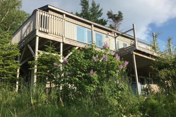 Not known - 11 Brookside Avenue, Corner Brook, NL A2H3X6 Photo 4