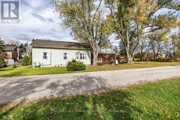 Living room - 11 Church Street, Kawartha Lakes, ON K0M2J0 Photo 3