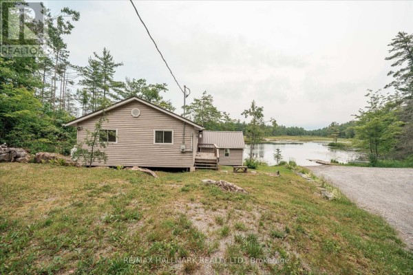 Side view of a beige cottage with a metal roof on a grassy lawn, overlooking a lake with trees in the background. - 11 Fire Route 44 Route, North Kawartha