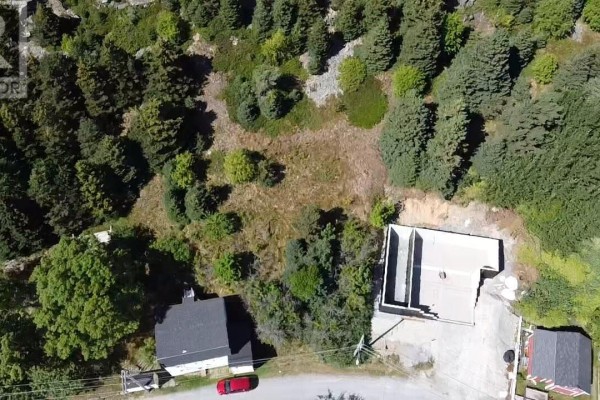 11 Harbour Drive, Brigus, NL A0A1K0 Photo 4