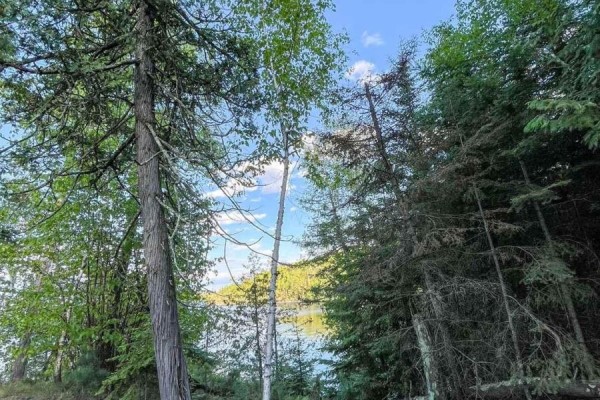 11 Hay Island E, Kenora, ON P0X1H0 Photo 5