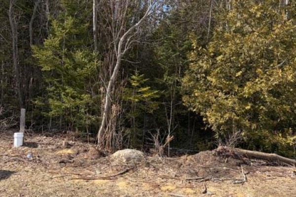 Open land with sparse vegetation and a utility marker in the background. - 11 Lakeside Woods Crescent, Saugeen Shores